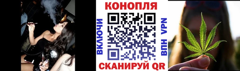 Бошки Шишки планчик  Волжский 